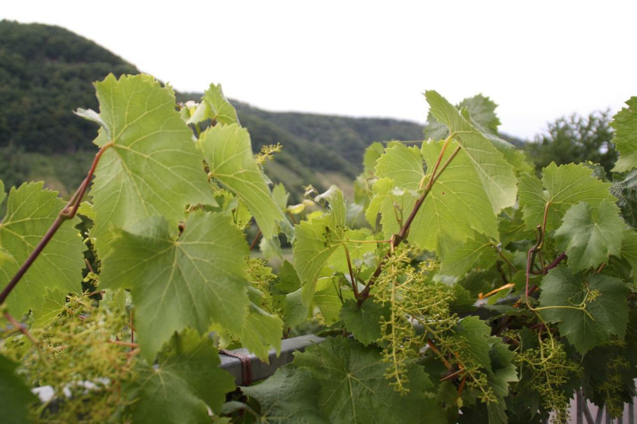 Weingut Sauer-Kettermann Vila Enkirch Exterior foto