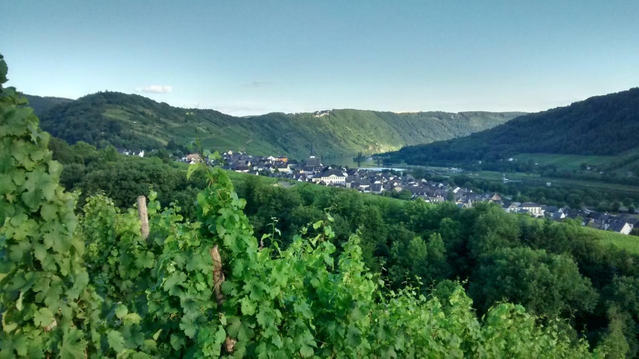 Weingut Sauer-Kettermann Vila Enkirch Exterior foto