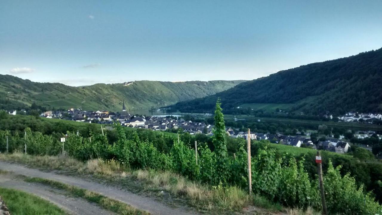 Weingut Sauer-Kettermann Vila Enkirch Exterior foto